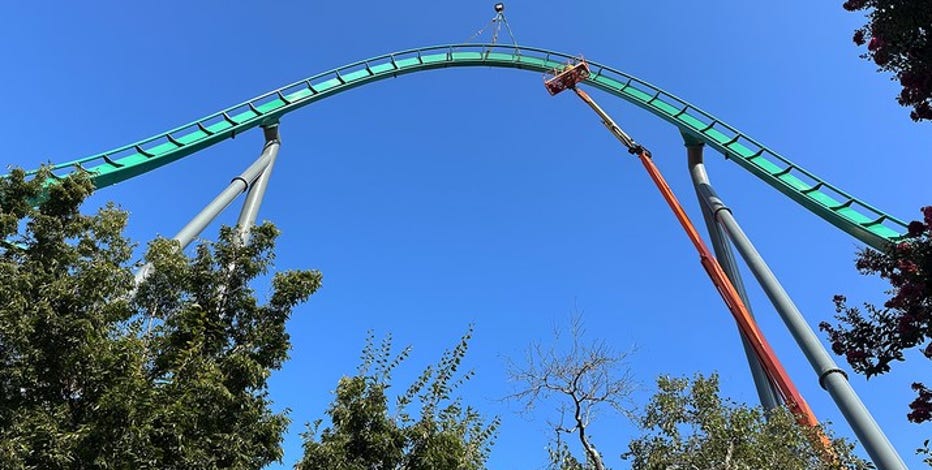 Double Raptor Coaster Raptor Roller Coaster Kings Dominion