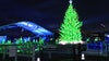 2024 National Christmas Tree Lighting Ceremony: What you need to know