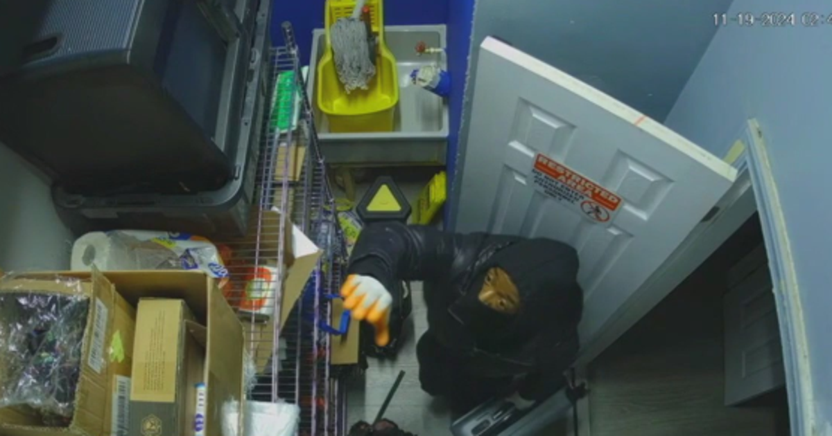 'It's just disheartening': Thieves steal thousands of dollars of ...