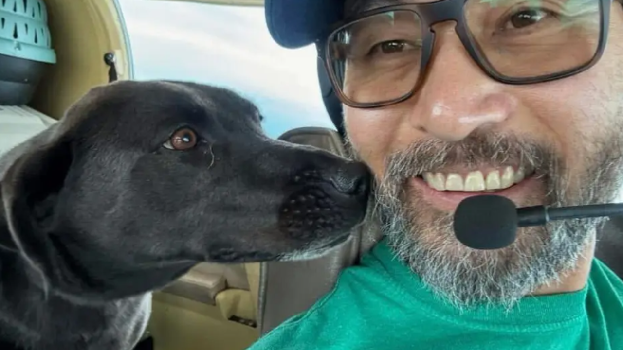 Ashes of puppy killed in tragic plane crash brought to deceased pilot's family in Virginia