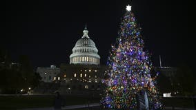 US Capitol Christmas Tree Lighting kicks off DC holiday season