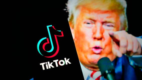 Trump asks Supreme Court to delay TikTok ban, pledges to resolve dispute