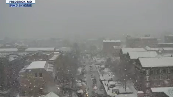 Burst of winter weather brings snow, sleet and cold rain to DMV