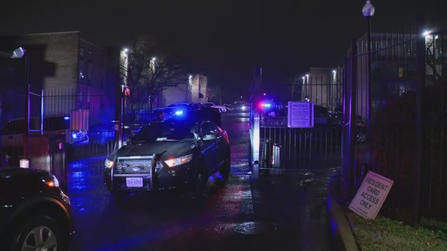 3-year-old boy shoots sister, 5, in DC