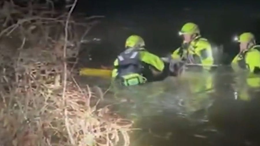 Firefighters pull dog from icy creek in Fairfax County