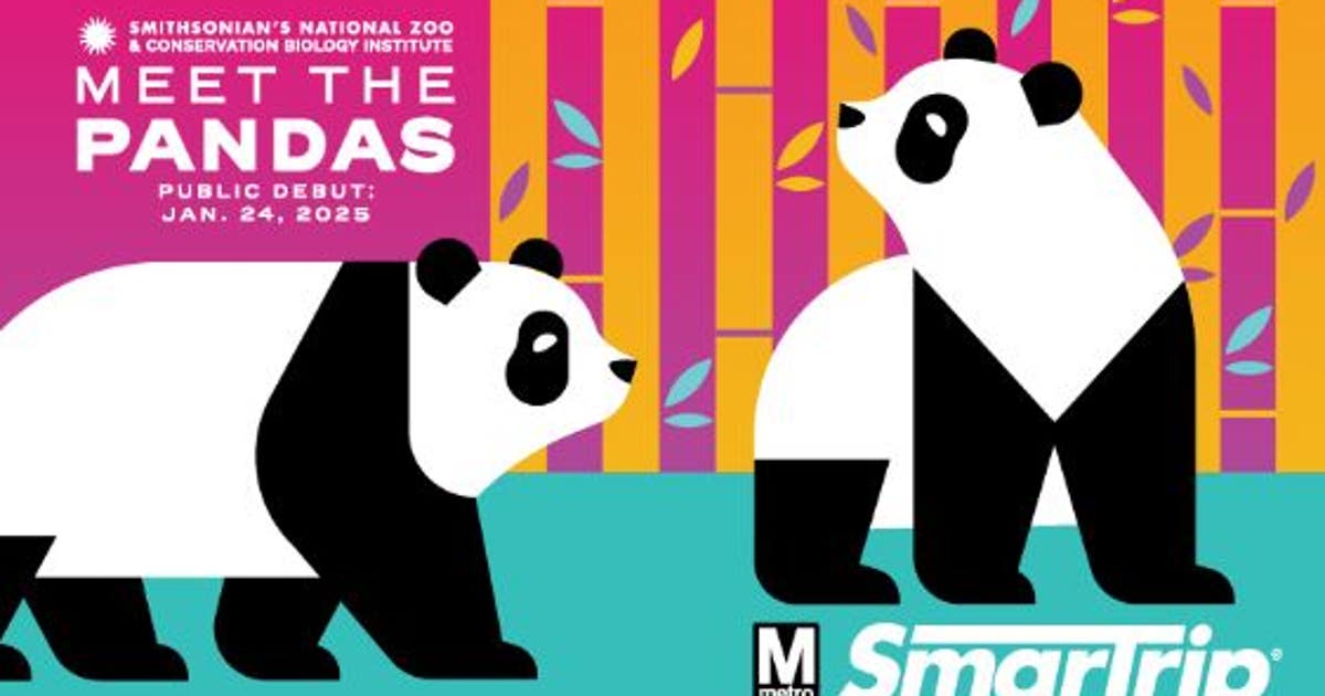panda-smart-trip-card.jpg?ve=1