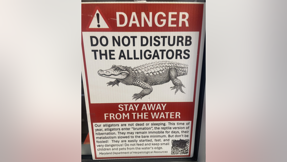 Alligators in Maryland? Police say signs part of prank