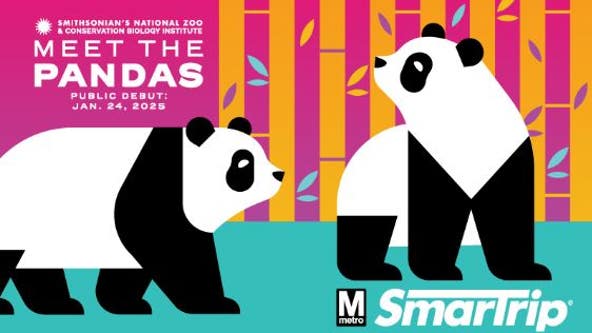 Metro celebrates the return of giant pandas with limited-edition SmarTrip card