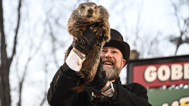 PETA wants to replace Punxsutawney Phil with 'vegan weather reveal cake'