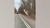 18-year-old pilot crashes single-engine plane along Maryland road