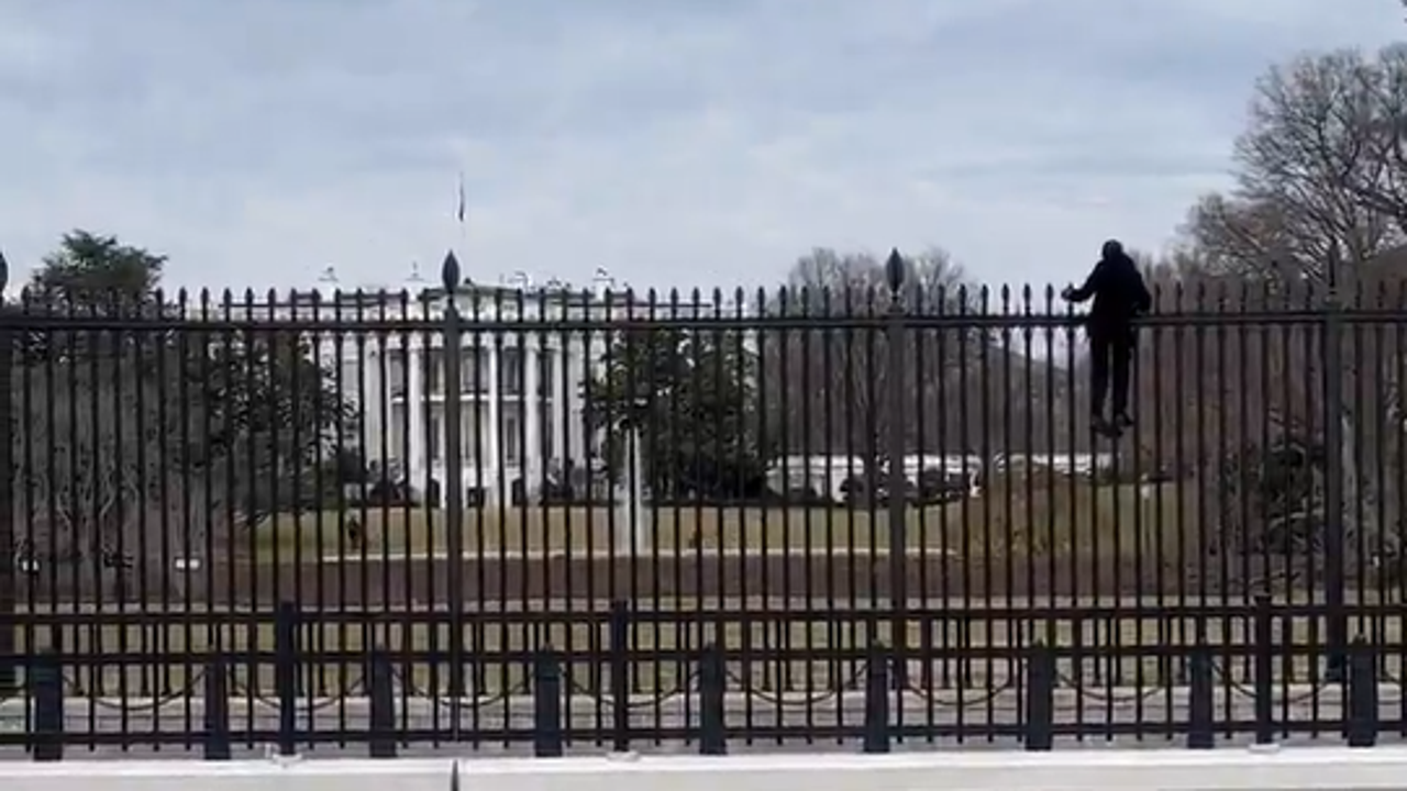 WATCH: Video shows Secret Service swarm as man climbs over White House fence  | FOX 5 DC