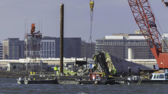 DC plane crash: Ted Cruz, Sean Duffy call for aviation safety reform after deadly collision
