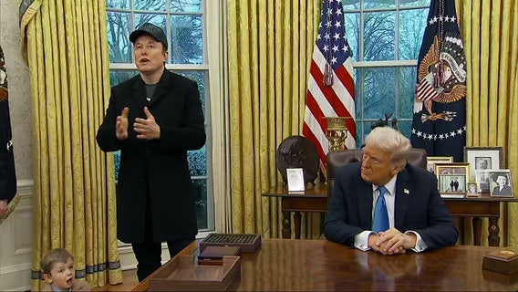 Trump supports Musk amid federal workforce turmoil