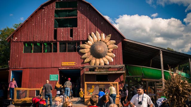 Iconic barn at Cox Farms burns down in early morning fire
