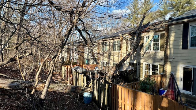 Severe winds down trees, damage homes, and disrupt traffic in Montgomery County