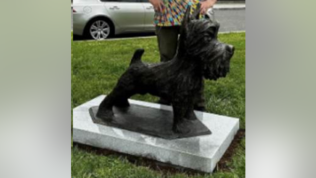 Bronze 500 pound dog statue stolen in Southeast DC