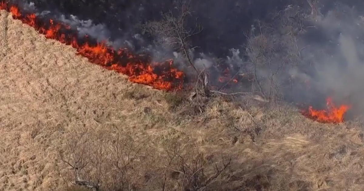 Massive brush fire breaks out in Gaithersburg park amid red flag ...