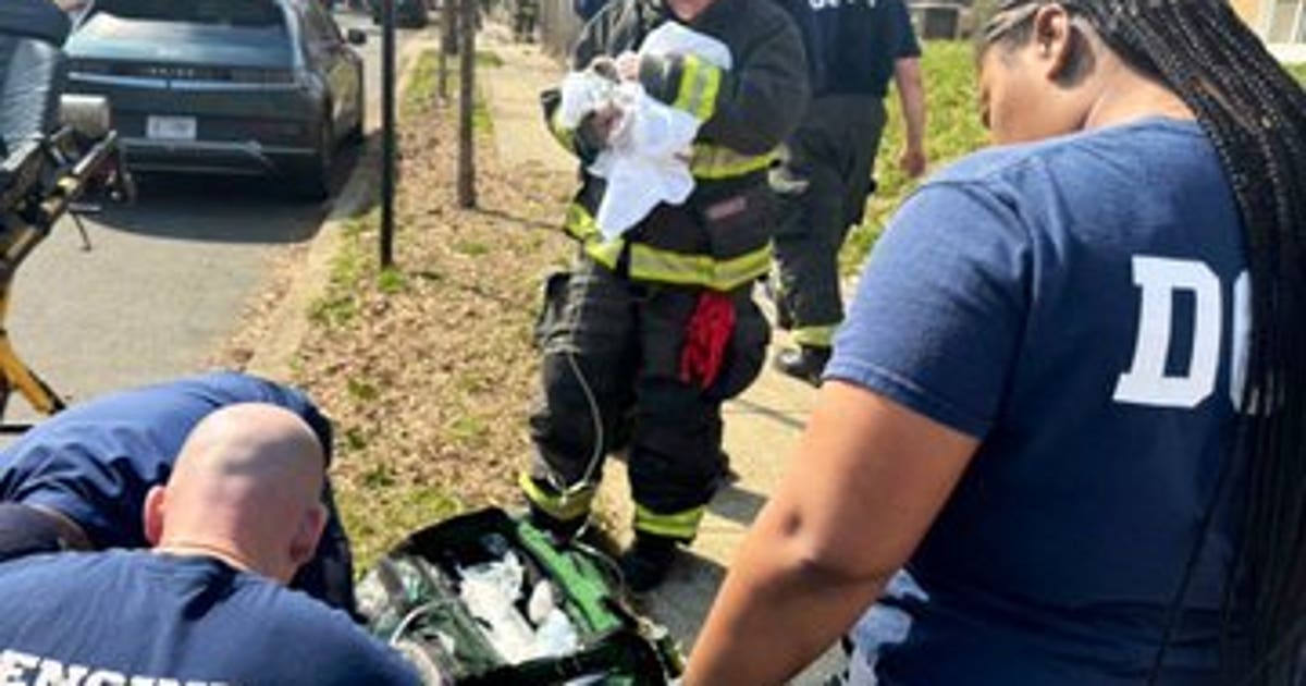 DC house fire leaves 3 puppies dead and four residents displaced | FOX 5 DC