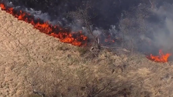 Massive brush fire breaks out in Gaithersburg park amid red flag warning