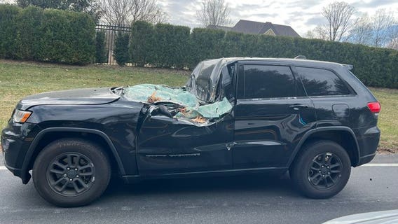 Driver injured after high winds topple tree onto car in Potomac