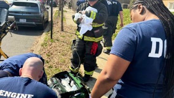 DC house fire leaves 3 puppies dead and four residents displaced