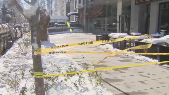 Pepco says faulty cable to blame after 2 dogs die from electrocution in DC