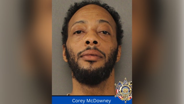 Maryland man arrested for allegedly stabbing dog