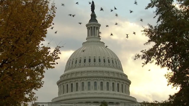 DC could see surge of rats, disease-carrying pests through spring 2025: study