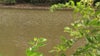 Earth Day Anacostia River cleanup highlights restoration efforts