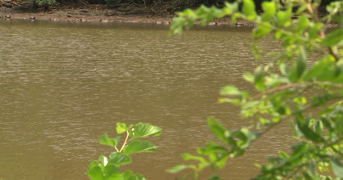 Earth Day Anacostia River cleanup highlights restoration efforts | FOX 5 DC