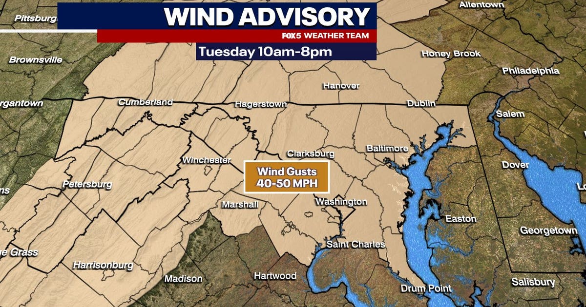 DC weather: Wind Advisory in effect with gusts up to 50 mph possible ...