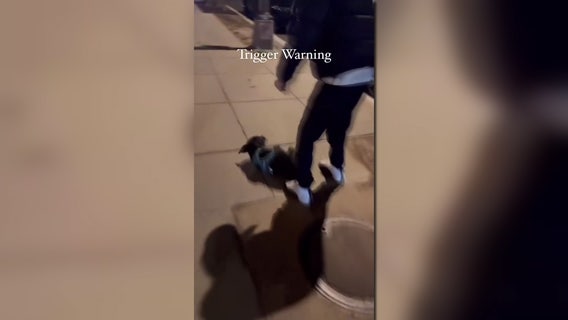 Camera captures brutal attack on dog; Humane Rescue Alliance offers $2,500 reward