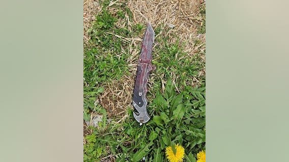 DC mass stabbing suspect identified