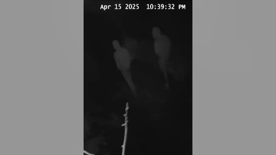 Surveillance video shows suspects trespassing at zoo in Virginia