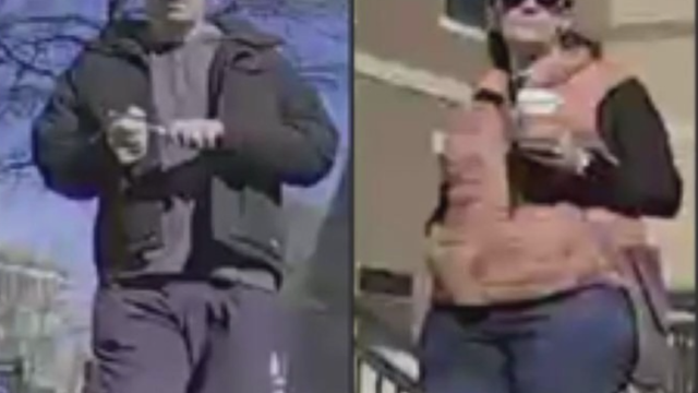 Man, woman accused of vandalizing Teslas in DC turn themselves in to police