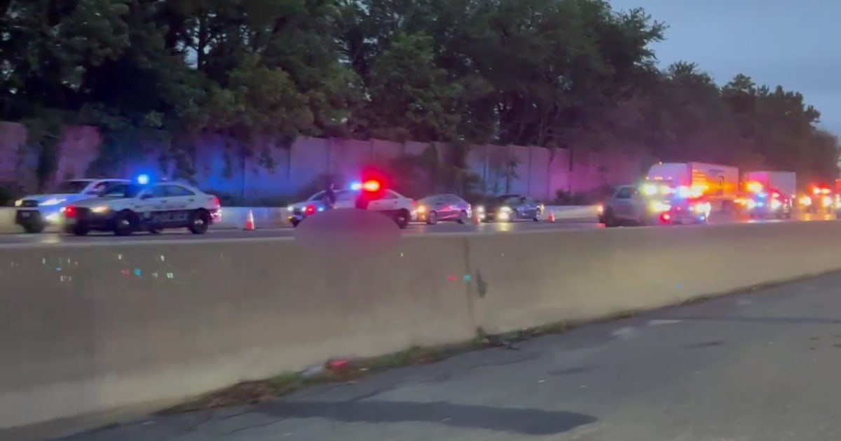 Driver struck, killed after fleeing officer on I-495 in Maryland ...