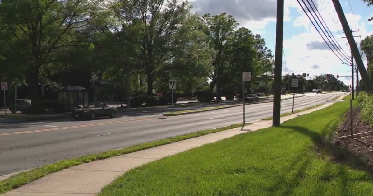 Driver sentenced for killing man who stopped traffic, kicked car in Northern Virginia