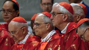 Cardinal Robert Prevost elected new pope: Here's what's next