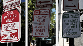 'DOGE' parking signs spotted in Southeast DC