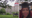 Family of Trinity University student who passed away pushes for honorary degree