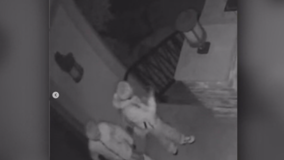 Police warn of 'South American theft group' reportedly burglarizing homes in DMV