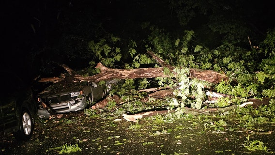 High water, downed trees disrupt commutes across DC region