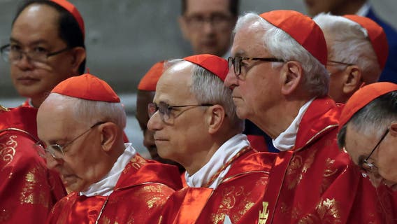 Cardinal Robert Prevost elected new pope: Here's what's next