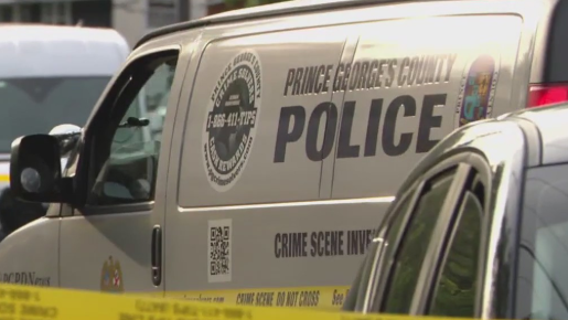 Grandmother found shot to death in Maryland residence