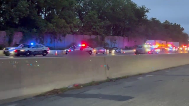 Driver struck, killed after fleeing officer on I-495 in Maryland: police