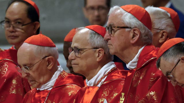 Cardinal Robert Prevost elected new pope: Here's what's next