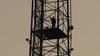 Man climbs cell tower in northwest DC