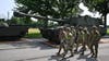 How to watch the military parade for the Army's 250th birthday