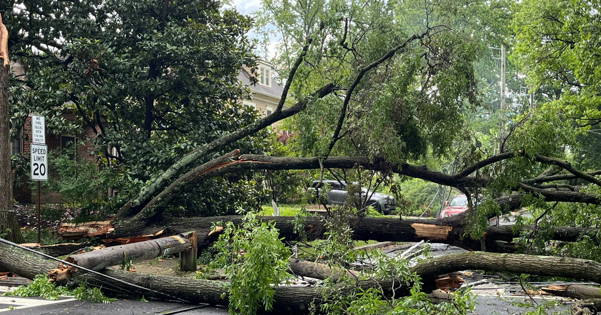 Over 10,000 without power in Maryland after severe storms | FOX 5 DC