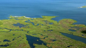 Chesapeake Bay earns a C grade, possibly due to extreme weather